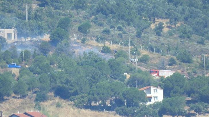 Cunda Adası'nda orman yangını