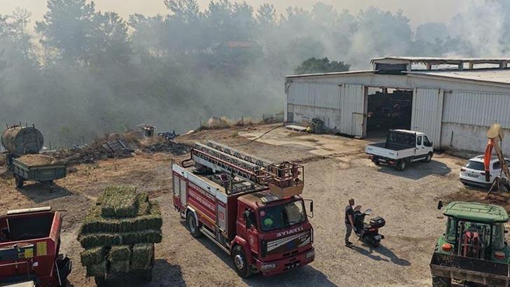 Balıkesir'de Kepsut'un ardından Altıeylül ve Karesi'de de yangın