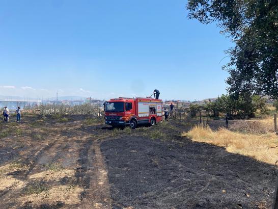Manisa'da ot yangınında 50 dönüm alan zarar gördü