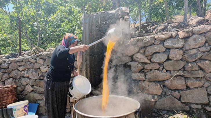 Bingöl’de geleneksel dut pekmezi mesaisi başladı