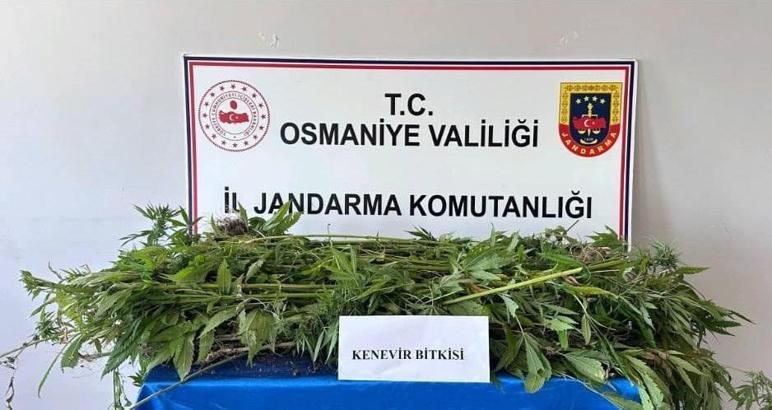 Osmaniye’de jandarma son bir haftada 164 şüpheliyi yakaladı