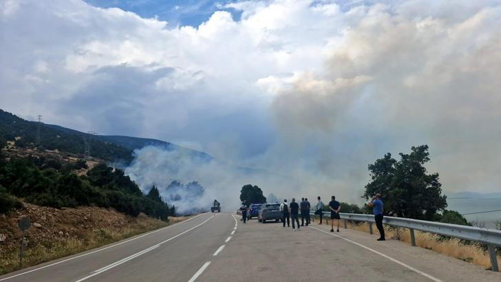 Orman yangını büyümeden söndürüldü