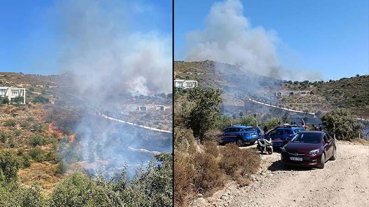 Bodrum'da otluk ve makilik alanda yangın