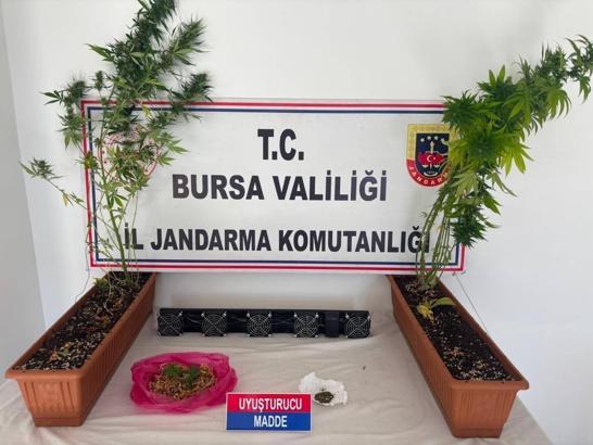 Bursa'da uyuşturucu operasyonu; 3 gözaltı