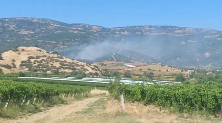 Manisa'da maki yangınında alevler ormana sıçradı