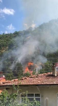 Kastamonu'da orman yangını