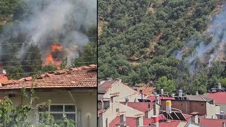 Kastamonu'da orman yangını