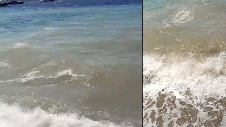 Bodrum'da deniz kirliliği; soruşturma başlatıldı