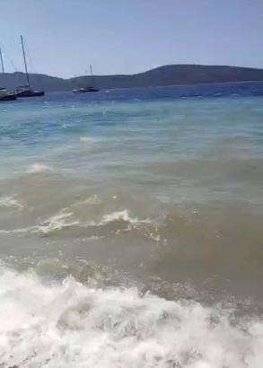 Bodrum'da deniz kirliliği; soruşturma başlatıldı
