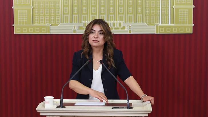 DEM Parti'li Koçyiğit: AKP'nin bu hafta yasa taslağını İmralı heyetimize aktarmasını bekliyoruz