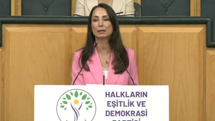 DEM Parti'li Hatimoğulları: Temmuz ayında çerçeve yasayı çıkaralım