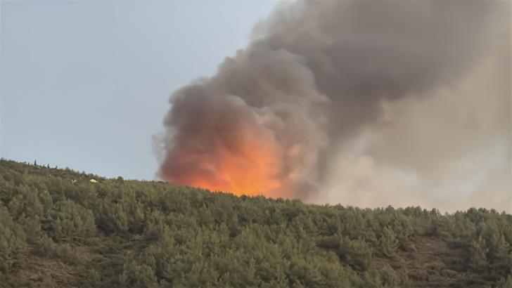 Milas'ta orman yangını / Ek fotoğraflar