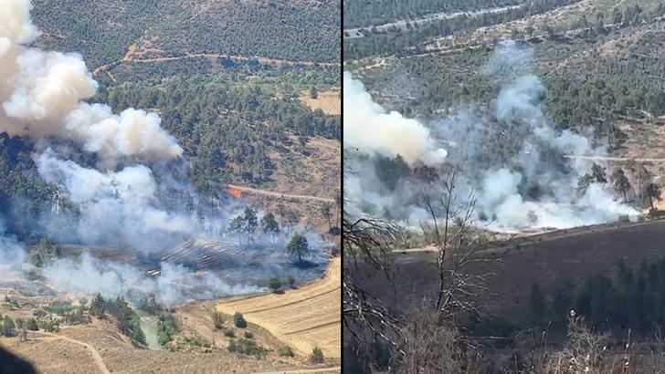 Bursa’da orman yangını
