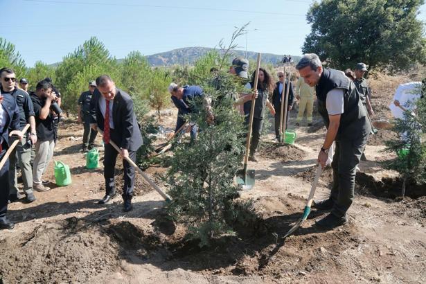 Muğla'da 15 Temmuz şehitleri anısına fidan dikildi