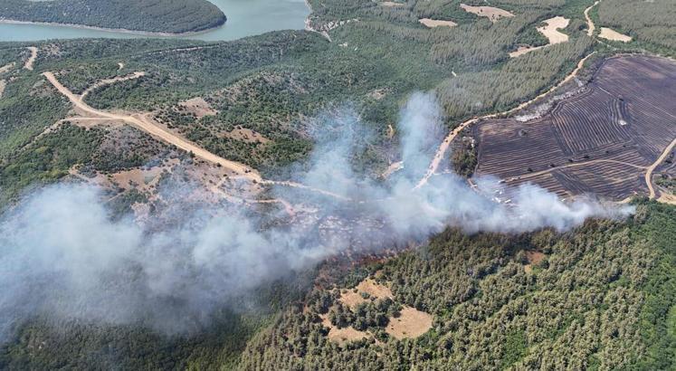 Tekirdağ'da anız yangınında alevler, ormana sıçradı
