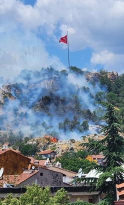 Tarihi Kütahya Kalesi çevresindeki otluk alanda yangın