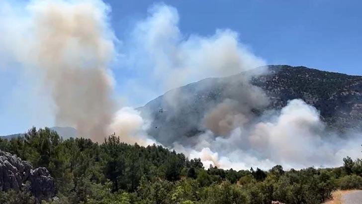 Antalya'da orman yangını