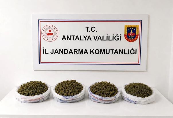 Alanya'da uyuşturucu operasyonu