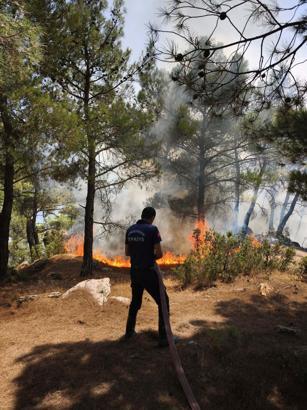 Aydın’da 3 günde 176 yangına müdahale edildi