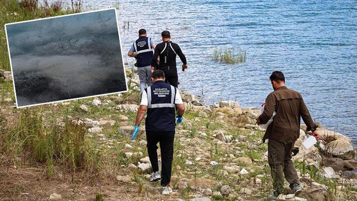 Sapanca Gölü'ndeki pamuksu tabakanın nedeni ortaya çıktı