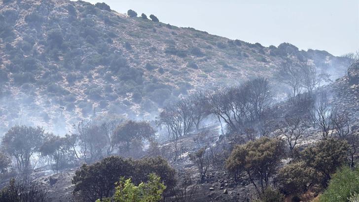 Bodrum'da makilik alanda çıkan yangın kontrol altında
