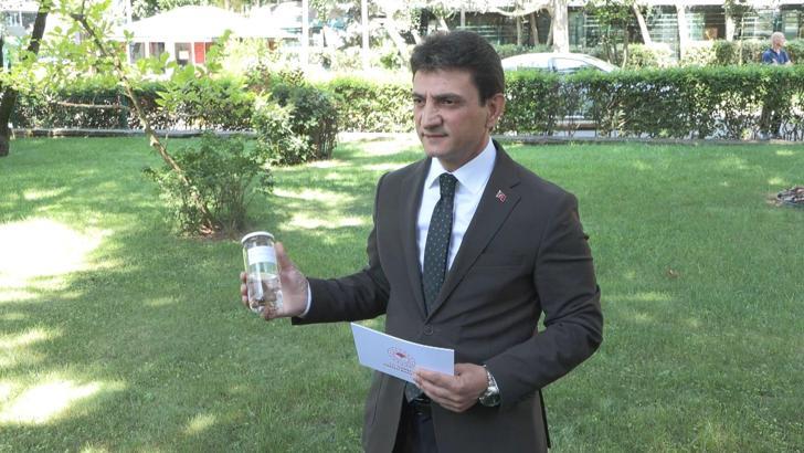 İstanbul İl Tarım Müdürü Parıldar: İstanbul'da çekirge istilasından bahsetmek mümkün değil