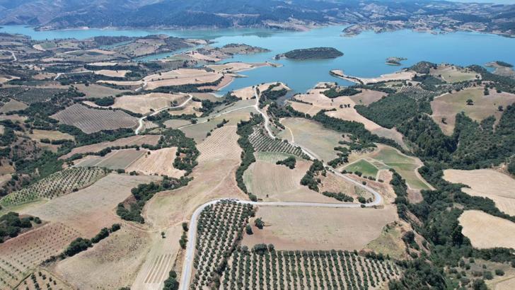 Manisa'da 2 bin dekarlık alanda bal ormanları oluşturulacak
