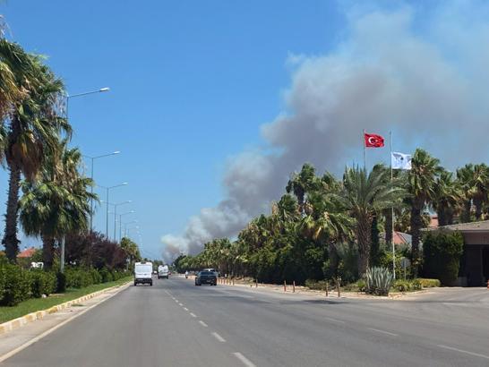 Antalya'da orman yangını