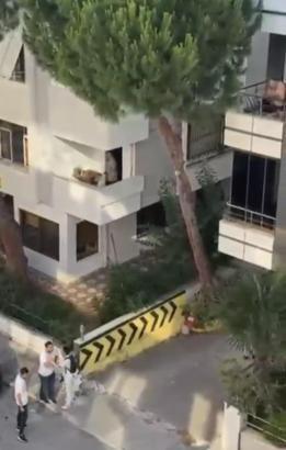 Maltepe'de kadına şiddet iddiasını duyan mahalleli balkona çıkan kişiye taş attı