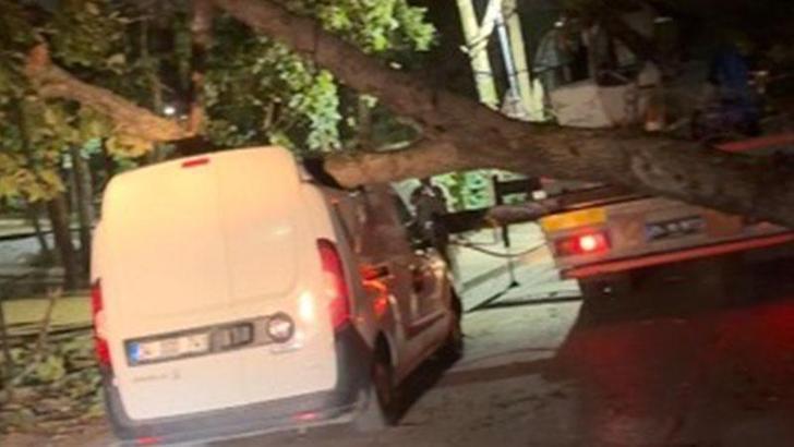 Sancaktepe’de fırtınada devrilen ağaç hafif ticari aracın üzerine düştü