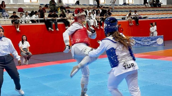 ANALİG Taekwondo il seçmeleri tamamlandı