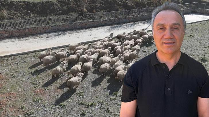TOGÜ Rektörü Yılmaz: Tescilli Karayaka ırkını geleceğe taşıyoruz