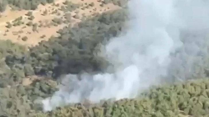 Balıkesir'de orman yangını