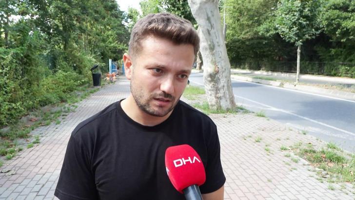 Beşiktaş'taki tarihi ağaçlara 'Çınar kanseri'ne karşı koruma çalışması: İlaçla tedavi yöntemi mümkün değil