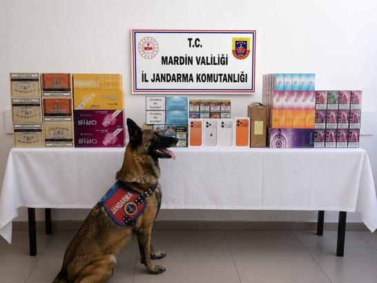 Mardin’de kaçakçılık operasyonu: 2 gözaltı
