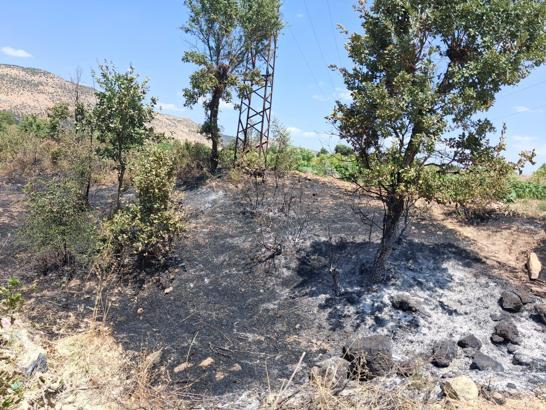 Diyarbakır’ın 3 ilçesinde çıkan yangınlar söndürüldü