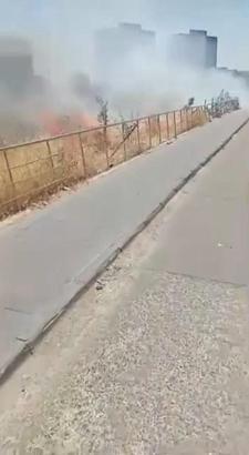 Diyarbakır’da hastane yerleşkesinde çıkan ot yangını söndürüldü
