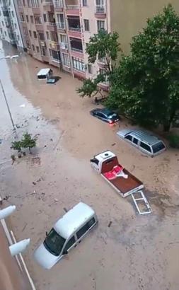 Kastamonu'da Cide'de sağanak; Devrekani Çayı taştı, ev ve iş yerini su bastı