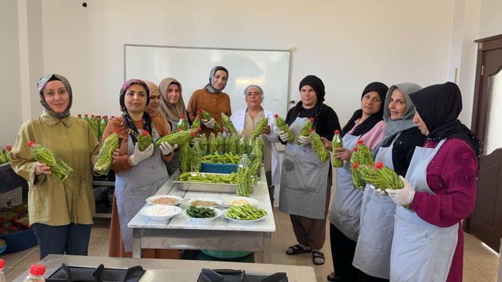 Midyatlı kadınlar, coğrafi işaretli acurun turşusunu kuruyor