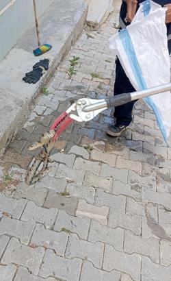 Eve giren yılanı itfaiye ekibi yakaladı