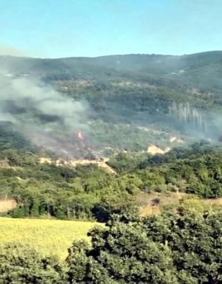 Tekirdağ'da anız yangını ormana sıçradı, 3 saatte kontrol altına alındı
