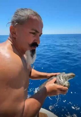 Çuvala dolanan deniz kaplumbağası kurtarıldı