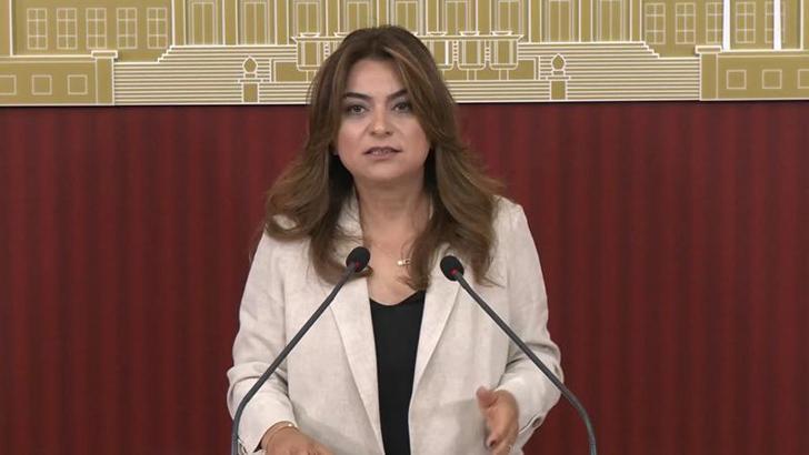 DEM Parti'li Koçyiğit: Çerçeve yasanın Meclis kapanmadan çıkacağına dair bilgiyi teyit edebilirim
