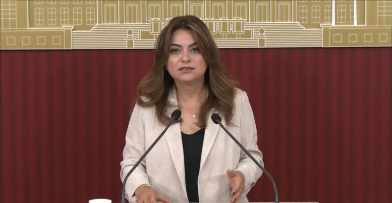 DEM Parti'li Koçyiğit: Çerçeve yasanın Meclis kapanmadan çıkacağına dair bilgiyi teyit edebilirim