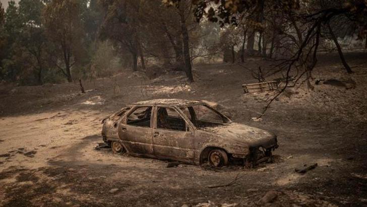 AB'den Fransa ve İspanya'ya yangın desteği