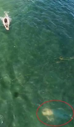 Boğulma tehlikesi geçiren kişi yeri dronla tespit edilip, kurtarıldı