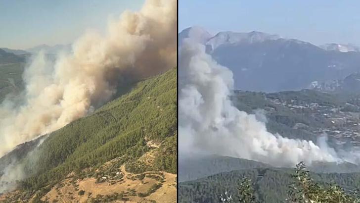 Muğla'da orman yangını