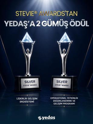 YEDAŞ'a Stevie Awards'tan 2 gümüş ödül