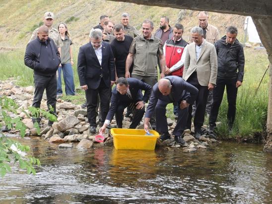 Ordu’da 35 bin alabalık yavrusu dereye bırakıldı
