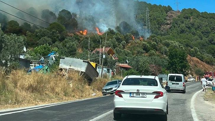Yalova’da orman yangını